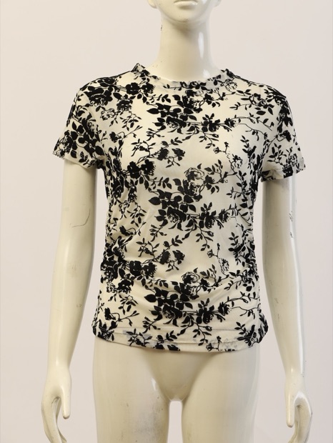 The product photograph it was generated from